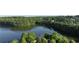 Scenic aerial view of a serene lake surrounded by lush green trees at 702 Crescent Cir, Canton, GA 30115