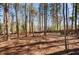 Backyard shows tall trees and a shaded lot with forest-like tree coverage and surrounding trees at 3966 N Indian Nw Cir, Kennesaw, GA 30144
