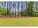 Backyard with tall trees and green grass, offering a sense of privacy and seclusion in a serene setting at 13 Westbrook Rd, Carrollton, GA 30116