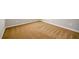 Close up of neutral colored carpet at 1021 Reddy Farm Rd, Grayson, GA 30017