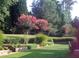 Beautiful backyard landscape with mature trees, manicured bushes and flowering crape myrtle trees at 1215 Wynridge Xing, Alpharetta, GA 30005