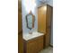 Bathroom vanity with mirror and cabinet at 430 English Ivy Way, Woodstock, GA 30188