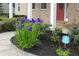 Well-maintained front yard with mulched flowerbeds and blooming flowers at 430 English Ivy Way, Woodstock, GA 30188