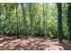 Lush backyard showcasing many mature trees surrounding the property at 4166 Riverhill Ne Ct, Roswell, GA 30075