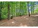 Private backyard features mature trees and room for outdoor enjoyment at 4402 Windsor Oaks Chase, Marietta, GA 30066