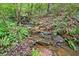 A serene natural stream flowing through the wooded backyard at 4402 Windsor Oaks Chase, Marietta, GA 30066