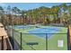 Community tennis courts surrounded by lush trees provide residents with recreational opportunities at 465 Woodbrook Ways, Lawrenceville, GA 30043