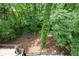 An elevated view of a lush, green backyard with mature trees and a black metal railing in the foreground at 306 Pinecrest Ne Rd, Atlanta, GA 30342