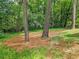 A serene backyard features mature trees, offering a peaceful retreat and connecting to nature at 773 N Superior Ave, Decatur, GA 30033