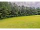 The expansive backyard features a lush lawn with a treeline to the back of the property at 3673 Jervis Ct, Rex, GA 30273