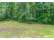 Spacious backyard bordered with mature trees and green grass at 3694 Rolling Pl, Conley, GA 30288