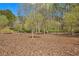 Community dog park with wood chip ground cover and places to sit and relax at 1174 City Park Ln, Decatur, GA 30033
