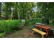 Community garden with colorful picnic benches surrounded by lush greenery at 2445 Kings Point Dr, Dunwoody, GA 30338