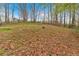 This is a backyard with wooded perimeter on an overcast day in the Autumn season at 3640 Silver Leaf Sw Ln, Marietta, GA 30008