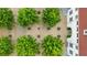 Top-down view of a courtyard, greenery, benches, and building with a red roof at 11277 Serenbe Ln, Chattahoochee Hills, GA 30268