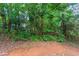 The backyard is partially covered with foliage to create a private natural setting at 3732 Landgraf Cv, Decatur, GA 30034