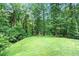 Well-maintained backyard with lush greenery and mature trees at 1706 Remington Rd, Atlanta, GA 30341