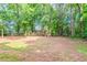 Backyard with lawn and tree line with fence in the background at 3851 Natalie Way, Ellenwood, GA 30294