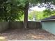 Fenced yard with mature tree at 644 Albert Nw St, Atlanta, GA 30318