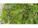 Aerial view showcasing the property's boundaries, lush greenery, and prime location surrounded by mature trees at 12728 Bells Ferry Rd, Canton, GA 30114