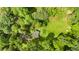 An aerial view showcases the property with a home, surrounded by lush greenery and a well-maintained yard at 12728 Bells Ferry Rd, Canton, GA 30114