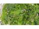 Aerial view showcases the wooded lot, with the house surrounded by lush trees and green space at 12728 Bells Ferry Rd, Canton, GA 30114
