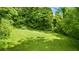 Expansive backyard featuring a well-maintained lawn, mature trees, and ample space for outdoor activities at 12728 Bells Ferry Rd, Canton, GA 30114