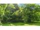 Lush green lawn surrounded by dense trees and foliage, creating a private and serene setting at 12728 Bells Ferry Rd, Canton, GA 30114