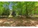 Wooded backyard featuring play equipment at 220 Broadmoor Dr, Fayetteville, GA 30215
