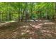 Wooded backyard featuring clearing for playset and other activities at 220 Broadmoor Dr, Fayetteville, GA 30215