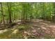 Wooded backyard area with creek and clearing for playset at 220 Broadmoor Dr, Fayetteville, GA 30215
