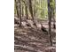 A gaggle of wild turkeys wander through the woods in this beautiful outdoor space at 3028 Towneside Ln, Woodstock, GA 30189