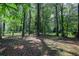 Lush backyard with mature trees, offering privacy and a serene outdoor space at 2975 Rollingwood Se Ln, Atlanta, GA 30316