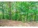 Scenic view of lush trees and foliage on a sunny day at 7070 Ravenwood Ln, Lithonia, GA 30038