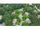 Stunning aerial view showcases homes with lush landscaping and mature trees in an upscale neighborhood at 816 Blackfoot Trl, Suwanee, GA 30024