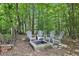 Fire pit in the backyard, surrounded by mature trees, creating a cozy outdoor gathering space at 4733 Eidson Road, Dunwoody, GA 30360