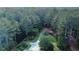 Aerial view of a home surrounded by lush, mature landscaping and a private driveway at 3140 Thoreau Ct, Loganville, GA 30052