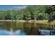 Expansive lake view showing lush green trees surrounding calm waters, perfect for relaxation and recreation at 3140 Thoreau Ct, Loganville, GA 30052