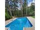 Inviting swimming pool with a tiled edge and a view of the surrounding pine trees at 3140 Thoreau Ct, Loganville, GA 30052