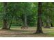 Picturesque backyard with mature trees, a well-maintained lawn, and a charming picnic table, perfect for outdoor gatherings at 380 Lamplighter Se Ln, Marietta, GA 30067