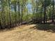 Large, private backyard with trees at 66 Pine Creek Ct, Dallas, GA 30157