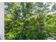 A tranquil view of lush trees surrounds the home, providing privacy and a connection to nature at 11 Perimeter E Ctr # 1412, Atlanta, GA 30346