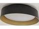 Modern round ceiling light fixture featuring a dark outer ring and bright, diffused inner light at 2041 Trailwood Rd, Decatur, GA 30032