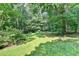 Green, well-maintained backyard with a tree line and a sloped hill at 10035 Anaheim Dr, Alpharetta, GA 30022
