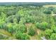 Property is surrounded by lush trees, with a red roof house nestled within the verdant landscape at 4060 Highway 81, Hampton, GA 30228