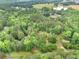 Expansive, tree-covered property featuring a pond and house surrounded by lush greenery at 4060 Highway 81, Hampton, GA 30228