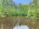 Serene pond surrounded by a variety of trees, reflecting the sky and creating a peaceful view at 4060 Highway 81, Hampton, GA 30228