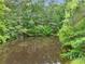 Still pond surrounded by lush trees, creating a tranquil and natural view of the waterfront property at 4060 Highway 81, Hampton, GA 30228