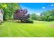 Expansive backyard featuring lush greenery and mature trees under a blue sky at 10300 Carleigh Ln, Roswell, GA 30076