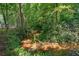 A small creek flowing through the wooded area, adding to the property's natural charm at 863 N Bay Overlook, Villa Rica, GA 30180